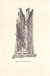 cartolina di siena