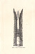 cartolina di siena