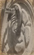 cartolina di siena