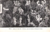 cartolina di siena