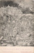 cartolina di siena