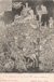 cartolina di siena