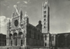 cartolina di siena