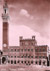 cartolina di siena