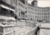 cartolina di siena