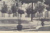 cartolina di siena