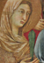 cartolina di siena