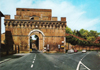 cartolina di siena