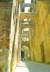 cartolina di siena