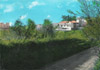 cartolina di siena