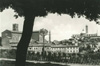 cartolina di siena