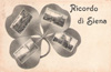 cartolina di siena