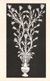 cartolina di siena