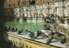 cartolina di siena