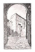 cartolina di siena