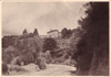 cartolina di siena