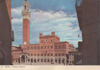 cartolina di siena