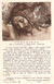 cartolina di siena