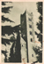 cartolina di siena