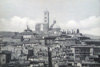 cartolina di siena