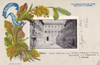cartolina di siena