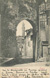 cartolina di siena
