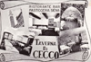 cartolina di siena