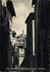 cartolina di siena