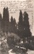 cartolina di siena