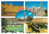 cartolina di siena