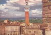 cartolina di siena