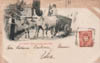 cartolina di siena