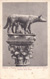 cartolina di siena