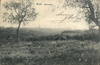 cartolina di siena