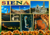 cartolina di siena