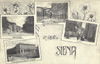 cartolina di siena