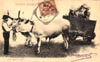 cartolina di siena