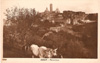 cartolina di siena