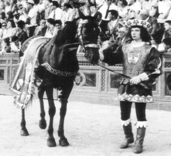 Stella III