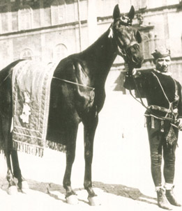 Stella di Antonio Tonini