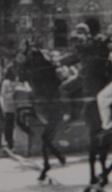Stellino