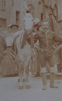 stornino