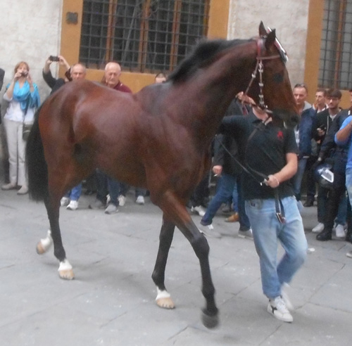 Techero
