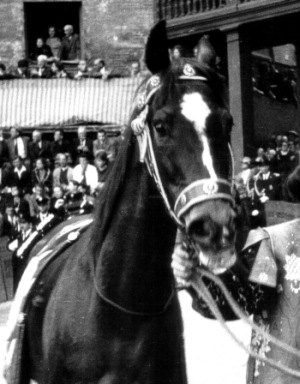 Tino II