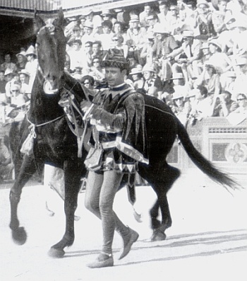 Topolona