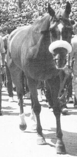 Torquato Tasso