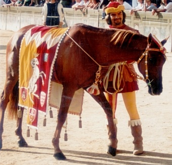 Touareg