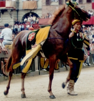 Trastullo