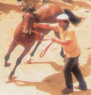 Trottolino