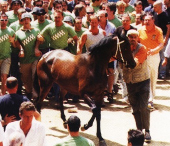 Velenosa